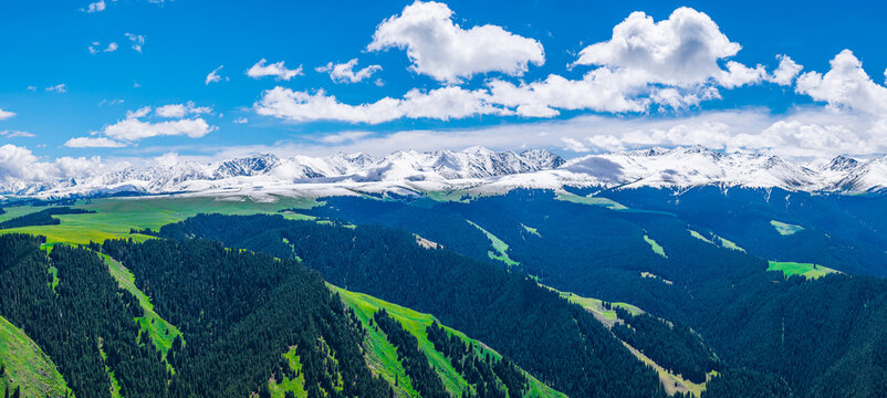 Aerial view of green meadows and spruce forests against a snow-capped mountain range under a cloudy sky in Kalajun Grassland, Ili, Xinjiang, China.