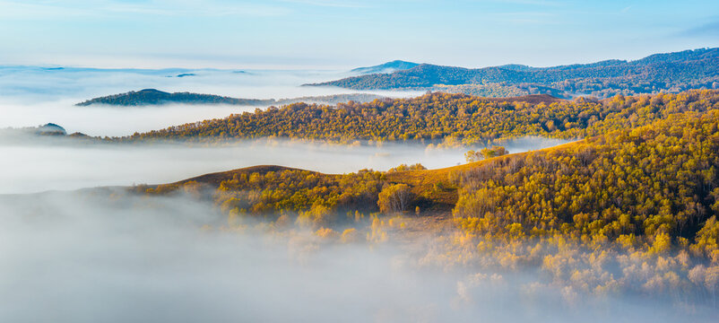 Aerial view of morning fog rolling over mountain ridges and golden birch forest in autumn, Ulan Butong Grassland, Inner Mongolia, China