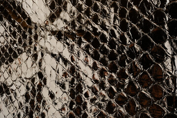 Dark exotic reptile leather texture with glossy python scales for luxury fashion background © reddish