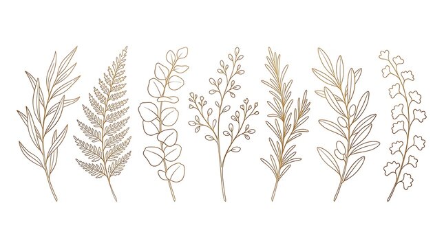 Botanical line art leaves and branches set in golden outline on white background vector illustration