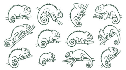Collection of cute chameleon illustrations in various poses on branches, hand-drawn style. © Avaira
