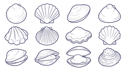 Collection of Various Seashells and Bivalves in a Simple Line Art Style. © Avaira
