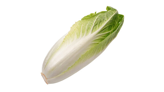 Single fresh crisp green chicory endive head organic raw salad vegetable isolated on transparent background.