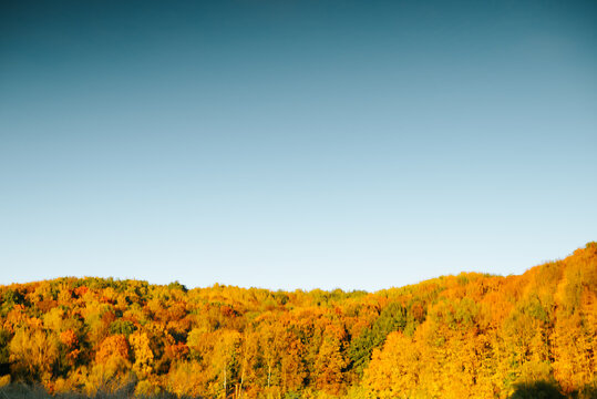 Trees with yellow, orange, and green foliage cover rolling hills beneath a blue sky. An autumn landscape reflected in the surface of a lake