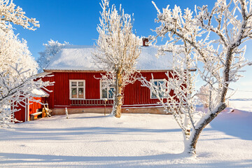 Red wooden Croft in snow covered garden a cold sunny winter day © Lars Johansson