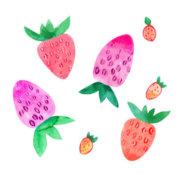 Cute red and pink strawberry set watercolor. Natural hand drawn illustration isolated on white background