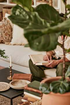 Hands Closing Hardback Book Behind Fiddle Leaf Fig In Warm Bohemian Living Room