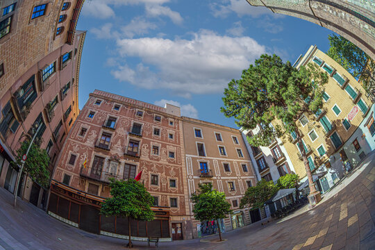 Barcelona, Spain - April 14, 2024: Pla&ccedil;a del Pi in the Gothic Quarter, featuring historic architecture, a central pine tree, and the landmark Basilica of Santa Maria del Pi.