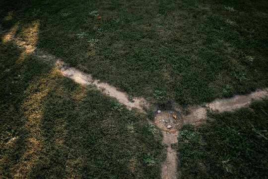Two worn footpaths meeting in a Y across mown grass