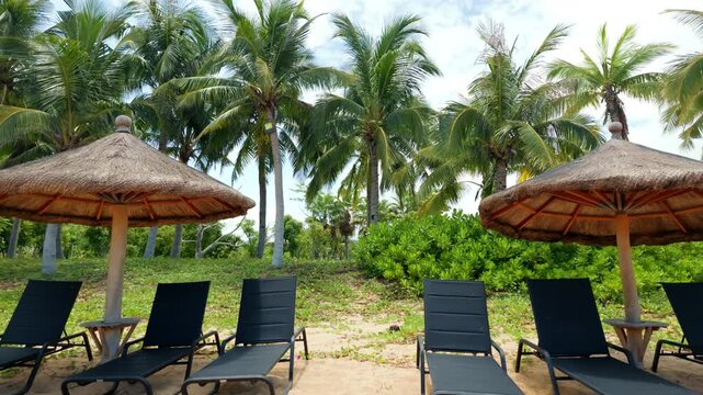 Lounge zone on beach in summertime, empty loungers and parasols in resort. Summer trip to tropical islands, enjoy vacation and holidays, luxury resort area on ocean coast, save from summer heat