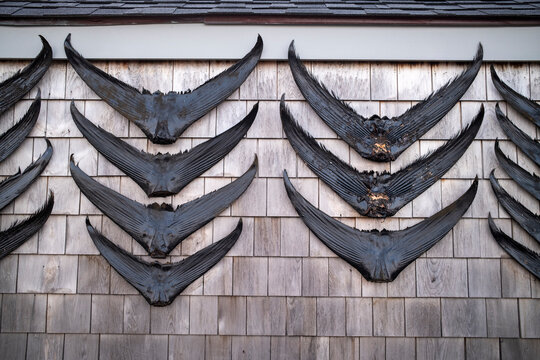 Fish tail trophies mounted on shingled siding in Nantucket.