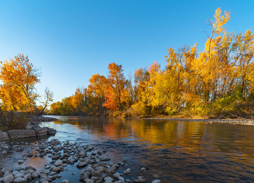 first sunlight on fall colors along the Boise River Idaho