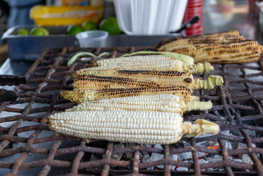 Corn Cobs Roasting at a Mexican Street Food Stall