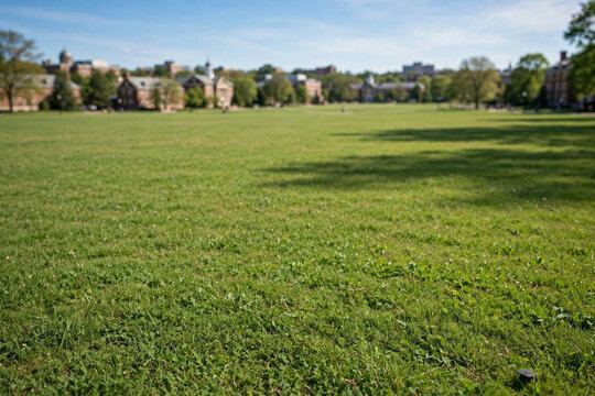 Campus Green: An expansive, sun-drenched green lawn with mature trees and brick buildings in the background. The scene conveys a sense of academic serenity and open space on a college campus.