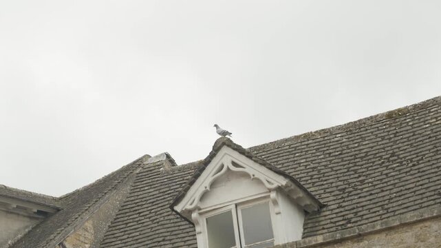 Slate roof dormer bird sky, Snowshill, United Kingdom (slow motion)