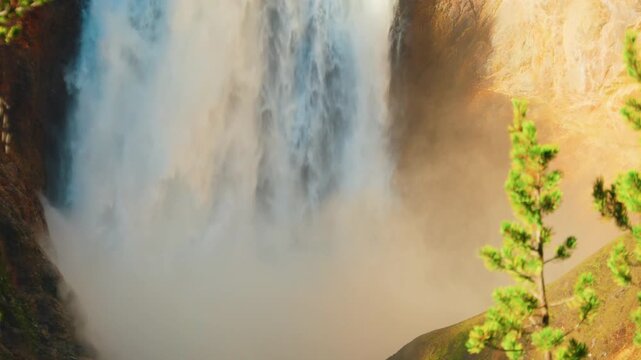 A tight close up shows the Lower Falls thundering down with white water and rising mist behind a small green pine tree while golden morning sunlight warms the canyon rock at the edge of the frame.