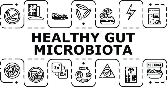 Healthy gut microbiota banner infographic. Colon bowel, balance fermented, prebiotics wellness icon vector illustration
