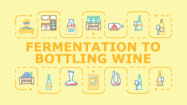 Fermentation to bottling wine banner infographic. Must siphon, rack barrel, clarify aging icon vector illustration