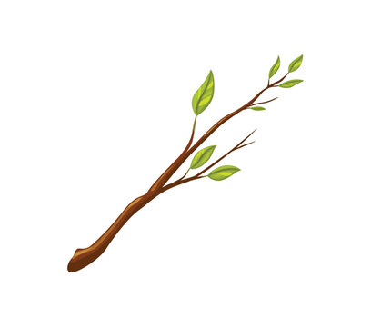 Tree branch with leaves or plant twig with green leaf of spring for cartoon icon of lumber or timber wood. Tree branch stick with leaf buds of summer foliage in wood forest or woodland garden