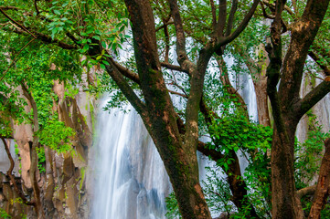Beautiful waterfall in forest. © CRSHELARE