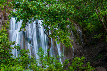 Beautiful waterfall in forest. © CRSHELARE
