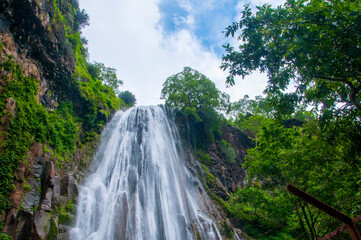 Beautiful waterfall in forest. © CRSHELARE