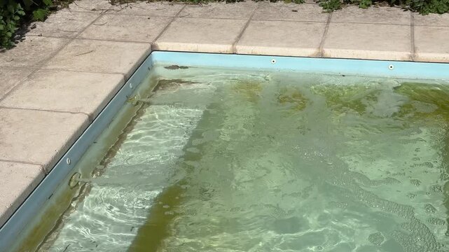 Swimming pool water appears clearer during the cleaning process, with residual algae and discolouration still visible along the floor and edges as maintenance continues, close-up view