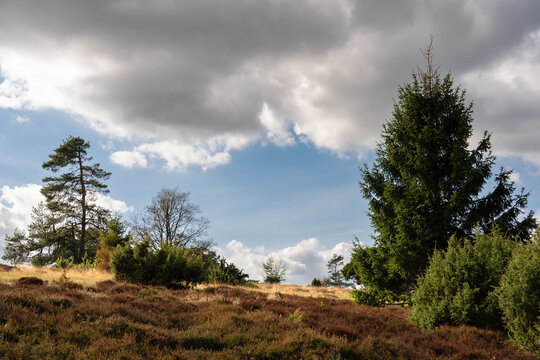 Traumpfad Bergheidenweg, Arft (Oktober 2026)