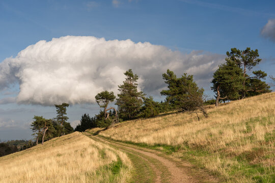 Traumpfad Bergheidenweg, Arft (Oktober 2026)