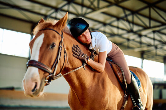 Equestrian rider resting against a chestnut horse, sharing an affectionate moment inside an indoor riding arena