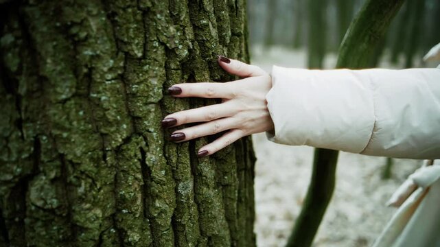 Hand Touching Rough Tree Bark In Forest During Nature Walk