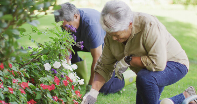 Image of happy senior couple taking care of plants in garden