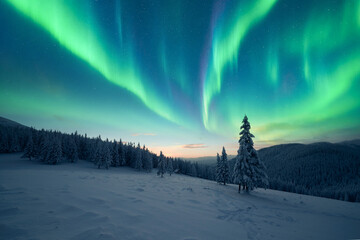 Obraz na płótnie Canvas Flowing green Aurora Borealis over winter mountains with snowy fir-trees. Northern lights in starry sky. Christmas landscape with Polar lights