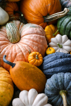 Close-up of assorted pumpkins in various shapes and autumn colors. Seasonal display perfect for fall harvest, Thanksgiving table, or Halloween background