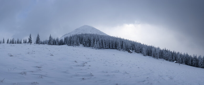 A snow-covered mountain rises above a gently sloping white landscape beneath an overcast sky. Frosted trees and soft winter light create a minimalist alpine scene