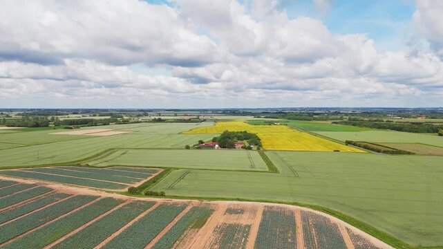 Aerial view of green fields and yellow canola under a cloudy sky. Farmland stretches wide with neat rows of crops and distant trees. Red barn stands near the center. Lincolnshire, UK, Farm Workers
