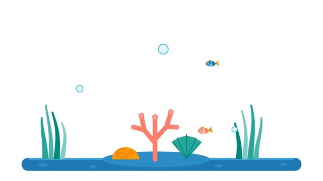 Flat vector animation of a marine ecosystem on a white background with pink coral and colorful fish swimming near seaweed. Ideal for marine conservation and environmental education videos.