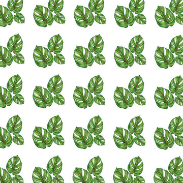 seamless pattern with basil