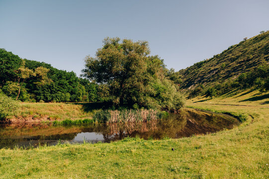 small pond nestled between grassy hillside and tree-covered slope under clear blue sky, calm reflective water