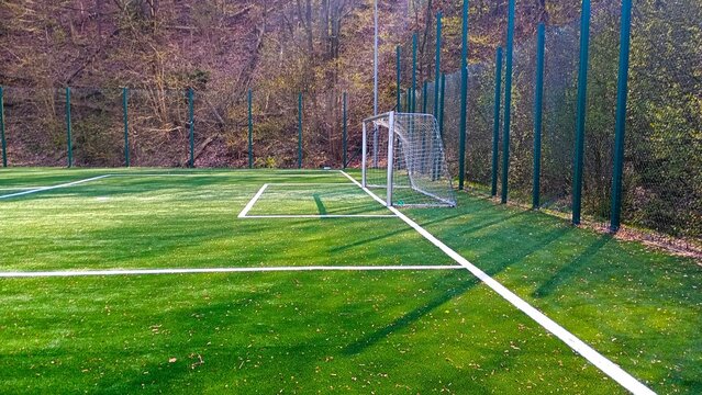 A soccer goal and clearly marked boundary lines stand on a fenced playing field beside leafless woodland, all visible in the bright light of day