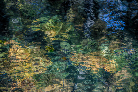 autumn trees reflected in the forest river