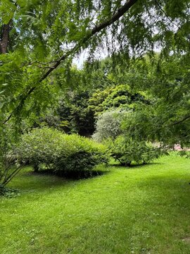Landscape view, green field with green grass growing in park meadow. Scenic land with lush, natural plants and trees