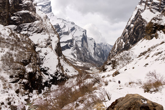 Snowy Modi Khola valley with towering cliffs in winter