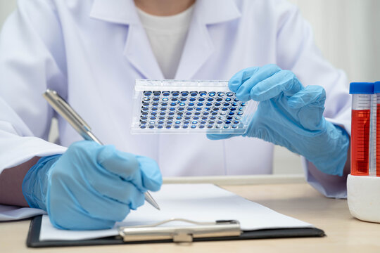 Scientist with cell culture in sample micro plate for research in science laboratory.