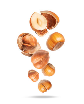 Levitation of whole and broken almonds with crumbs in the air