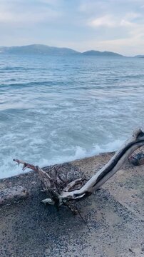 Vertical shot of beautiful blue sea with waves hitting concrete shore and old driftwood on foreground in Nha Trang, Vietnam