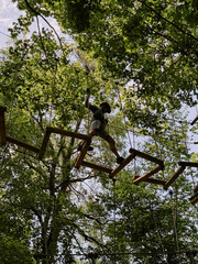 Park linowy. Adrenalina między drzewami. Aktywność nad ziemią. Przygoda dla odważnych. Młody chłopak wspina się. © Anita