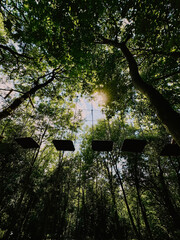 Park linowy. Adrenalina między drzewami. Aktywność nad ziemią. Przygoda dla odważnych. © Anita