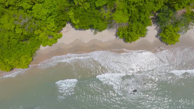 Waves Swashing on the Tropical Shore of Australia Near Cairns, Etty Bay Beach, Queensland