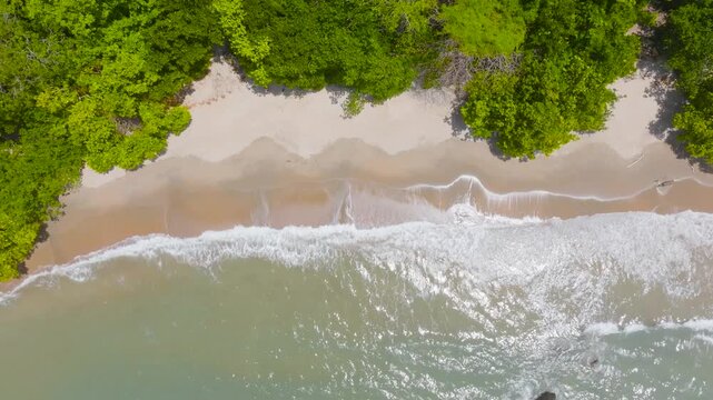 Waves Swashing on the Tropical Shore of Australia Near Cairns, Etty Bay Beach, Queensland